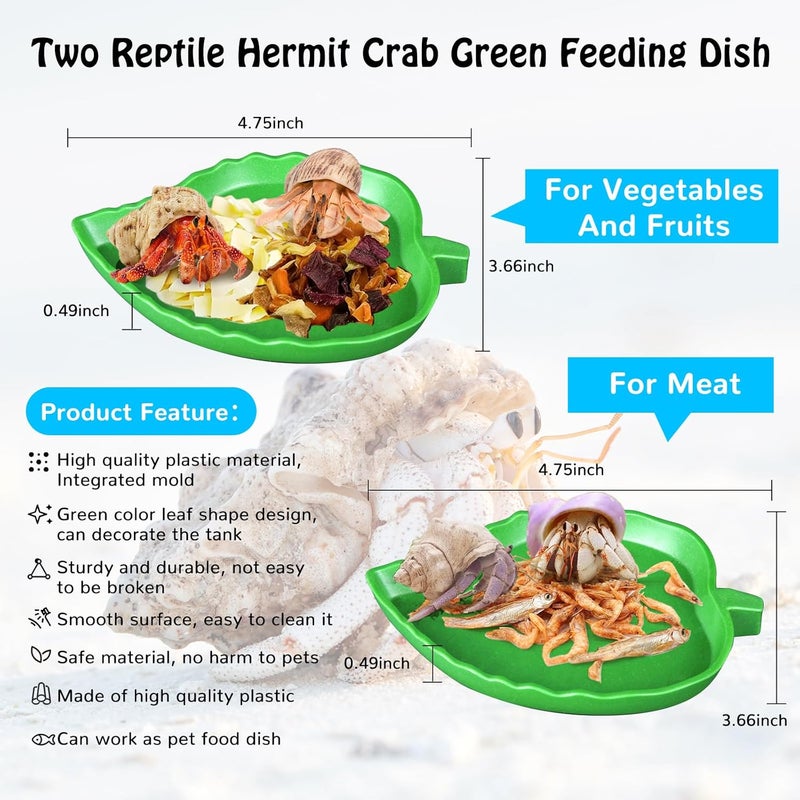 NestBasics 7 Pack Hermit Crab Pool Hermit Crab Water Bowl Dish Hermit Crab Food Bowl Dish Hermit Crab Accessories Starter Kits - Image 4